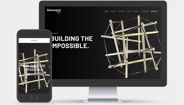 Biotensegrity Ommen Four05 Portfolio